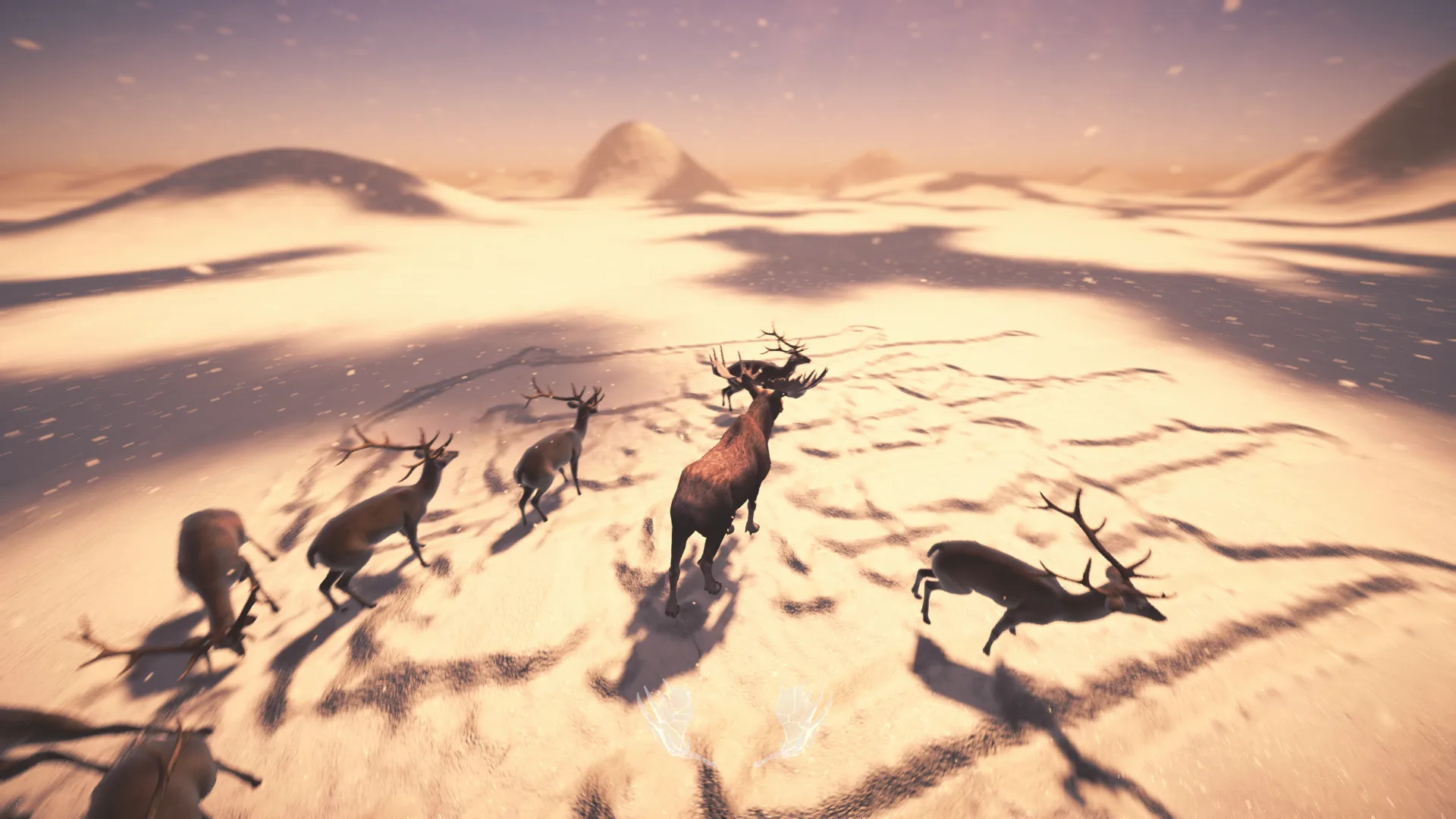 A herd crossing open snow